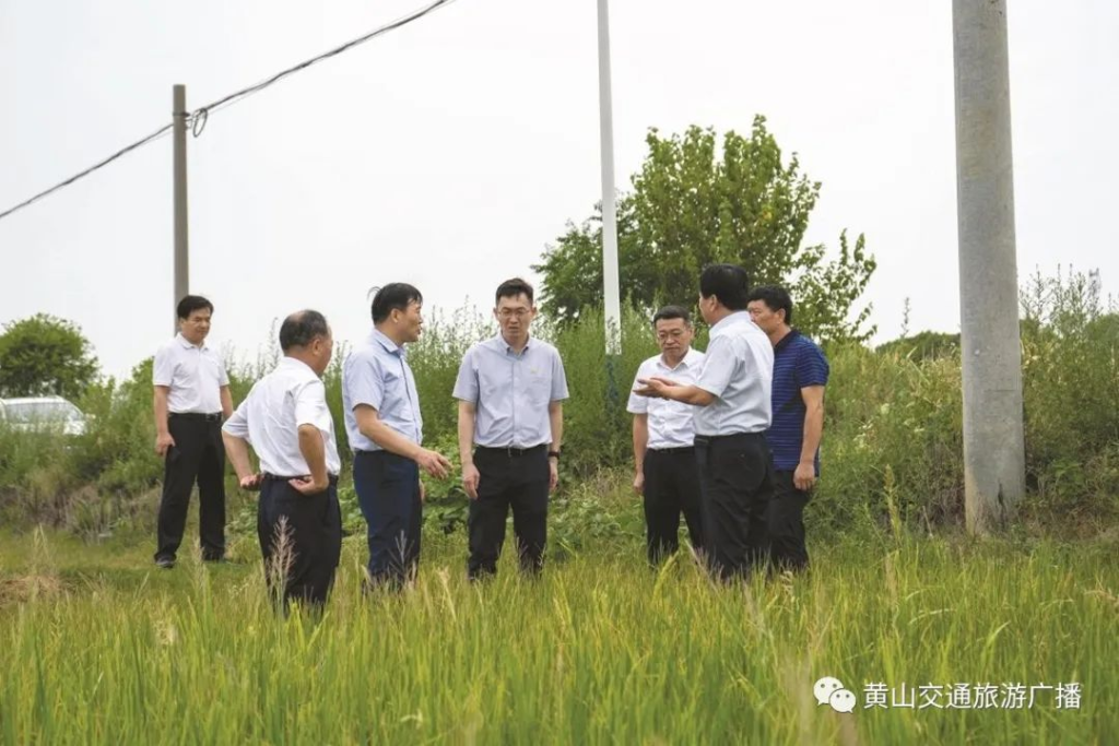 中国人保财险安徽省分公司——贡献“卓越保险”力量 服务现代化美好安徽建设