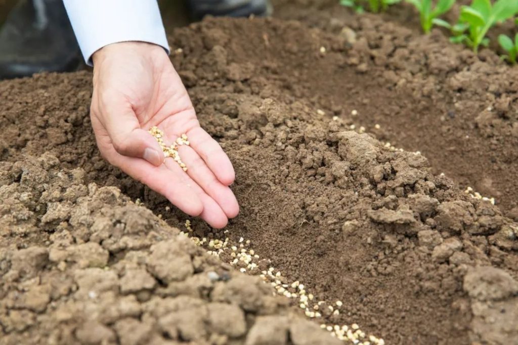 023中国天津种业振兴大会成功召开