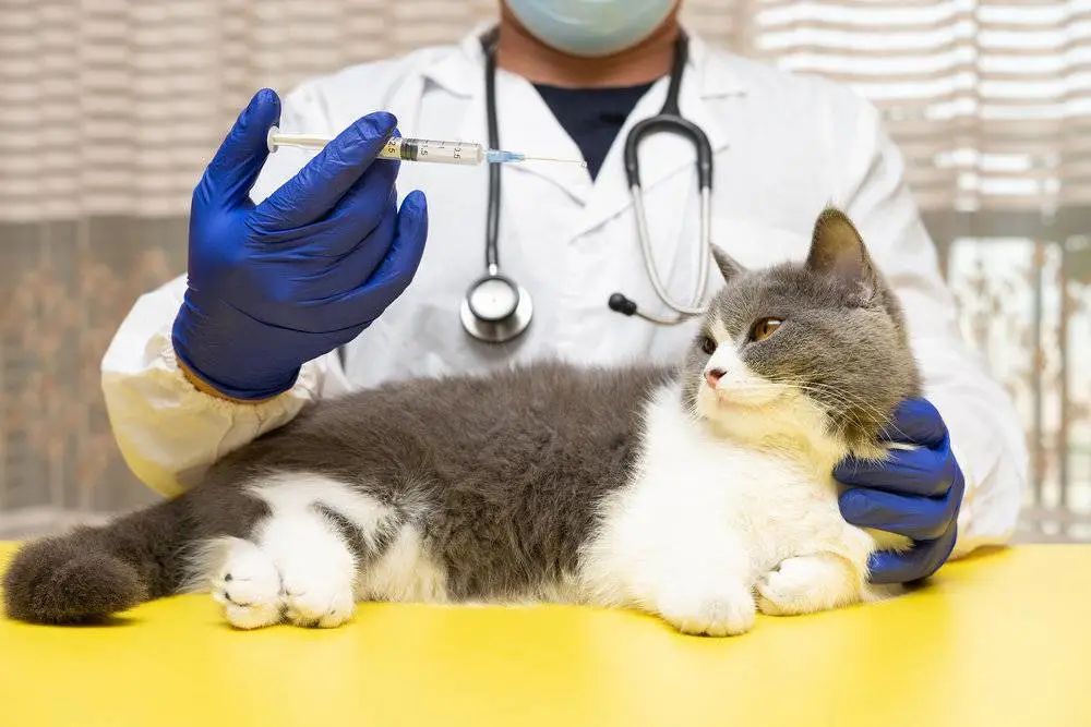 该让保险“讲人话”了